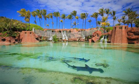 The 10 Best Nassau Excursions & Tours - Book a Nassau Shore Excursion!