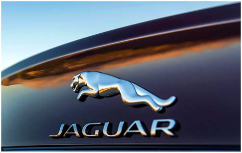 Jaguar Logo Meaning and History, latest models | World Cars Brands