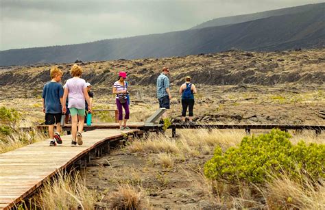 Volcano Adventure Tour From Hilo | Hawaii Tours and Activities