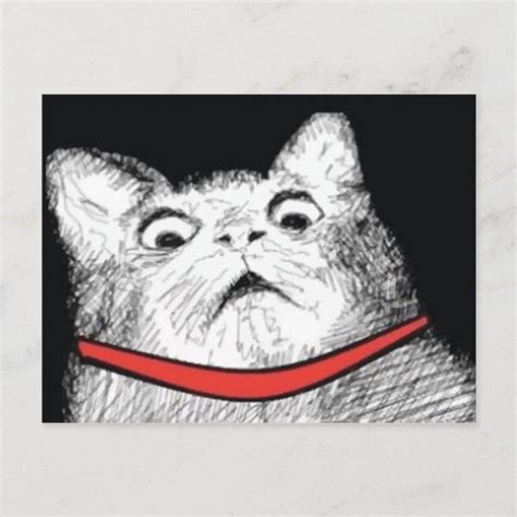 Surprised Cat Gasp Meme - Postcard Size: ' ' Postcard. Gender: unisex ...