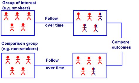 Cohort Study (Retrospective, Prospective): Definition, Examples - Statistics How To