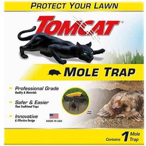 9 Best Mole Traps in 2023 - Recommended by an Exterminator