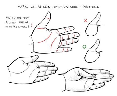 How To Draw A Finger - Religionisland Doralutz