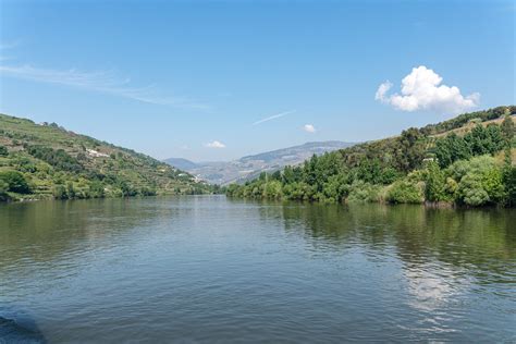 Douro River Cruise (Cruzeiro no Rio Douro)