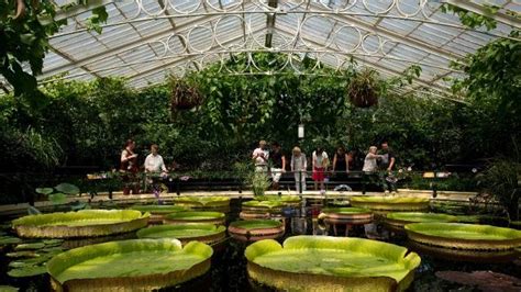 Royal Botanic Gardens, Kew - Garden - visitlondon.com