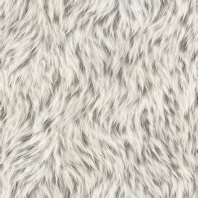 Animal fur texture seamless 09553