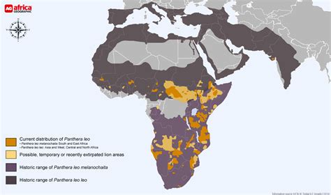 Lion Habitat Map