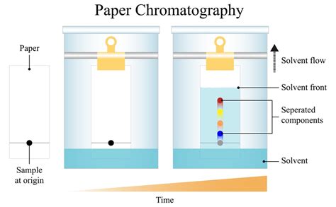 Paper Chromatography - Solution Parmacy