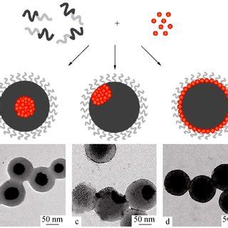 (PDF) Block Copolymer Controlled Nanoparticle Self-assembly