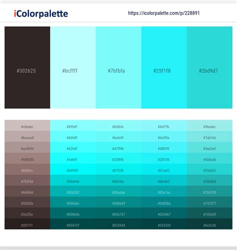 13 Latest Color Schemes with Black And Aquamarine Color tone ...