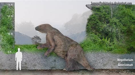 Giant Ground Sloth Size Comparison | Bruin Blog