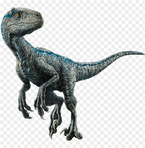 Free download | HD PNG velociraptor jurassic world el reino caído ...