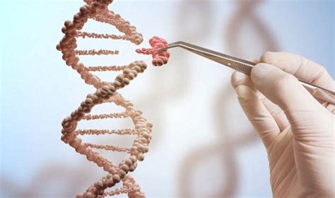 Human gene editing trials set to soon begin