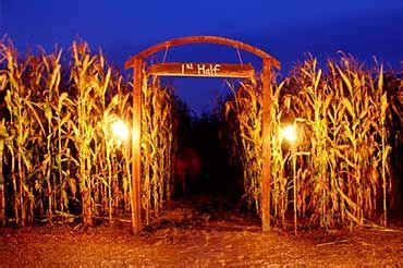 corn maze near me haunted - Kelley Sears