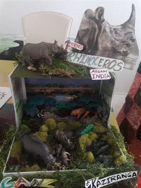 Greater 1 horn Rhino habitat Diorama | Animal projects, Rhino animal, Crafts for kids