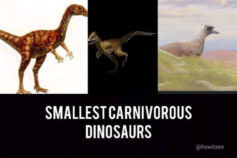 Top 10 Smallest Carnivorous Dinosaurs in the History (Tiny Dinosaurs)