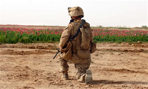 The U.S. Marines are sending a task force back to Afghanistan's Helmand province