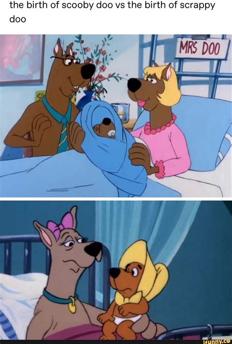 Live Action Scooby Doo Memes