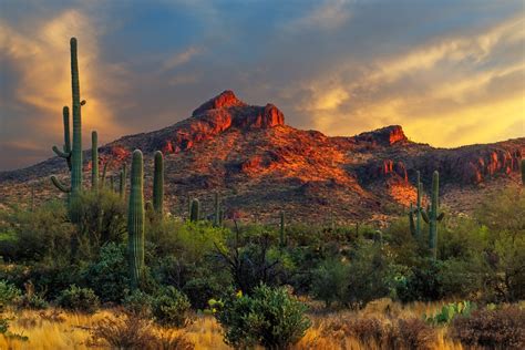 Arizaona Desert Sunset at Gold Canyon Fine Art Photo Print | Photos by ...