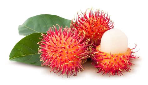 Rambutan vs. Lychee: What's the Difference? - Daring Kitchen