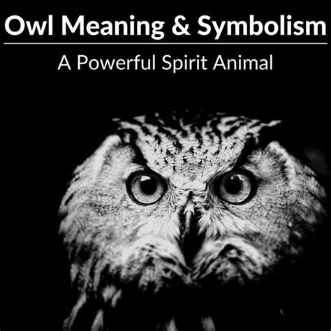 Owl Meaning and Symbolism: A Powerful Spirit Animal - Full Guide 2021 Spirit Animal Tattoo ...