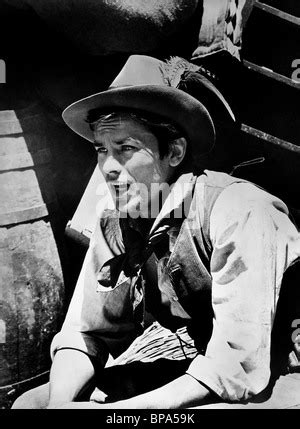 Alain Delon / The Leopard 1963 directed by Luchino Visconti Stock Photo: 89001665 - Alamy