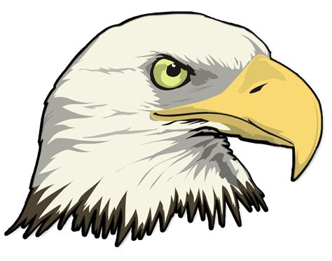 Simple Bald Eagle Drawing at GetDrawings | Free download