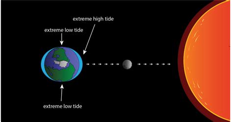 Sun and Moon Influence Ocean Tides More Than You Think - Great Lakes Ledger