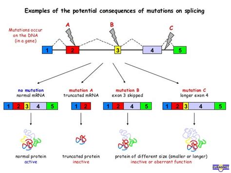 Rna splicing