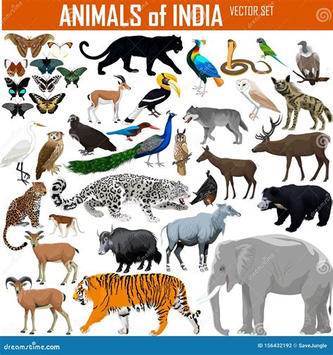 Animals India Stock Illustrations – 3,601 Animals India Stock Illustrations, Vectors & Clipart ...