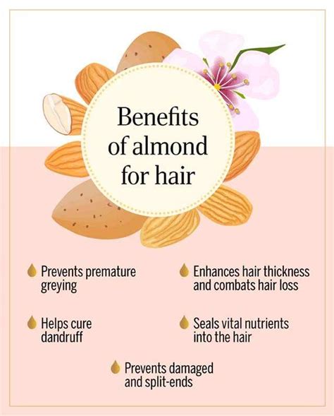 Almond Oil Uses For Hair / 8 Amazing Almond Oil Benefits For A Healthy Skin - hajoulefkar