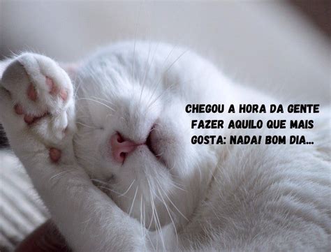 Bom dia engraçado! 30 frases para começar o dia com humor 😂 - Pensador