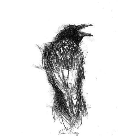 Crows Drawing, Bird Drawings, Cool Art Drawings, Crow Art, Raven Art, Bird Sketch, Sketch A Day ...