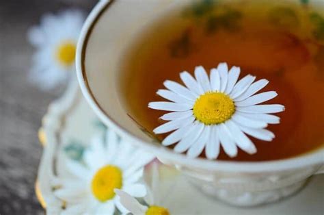 Does the Chamomile Tea Sleep Remedy Really Help You Fall Asleep ...