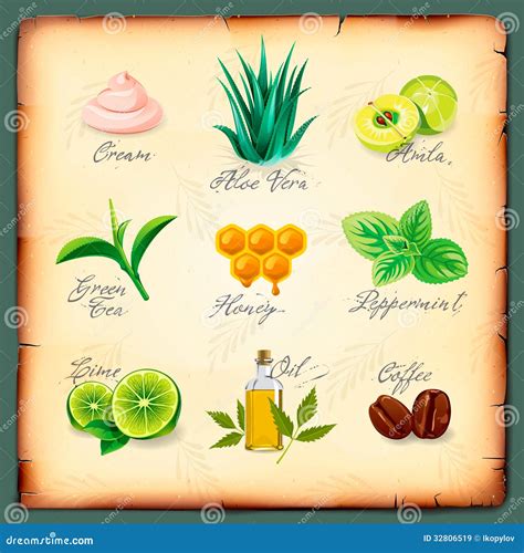 Set Of Natural Cosmetics Ingredients Royalty Free Stock Images - Image: 32806519