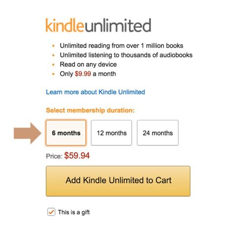 Kindle Unlimited Gift Subscription 2024 - Drusy Giselle