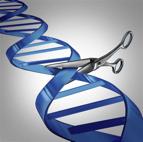 3 big questions about CRISPR human gene editing - CBS News