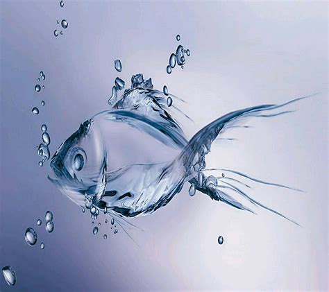 Fish 3d, 3d, HD wallpaper | Peakpx