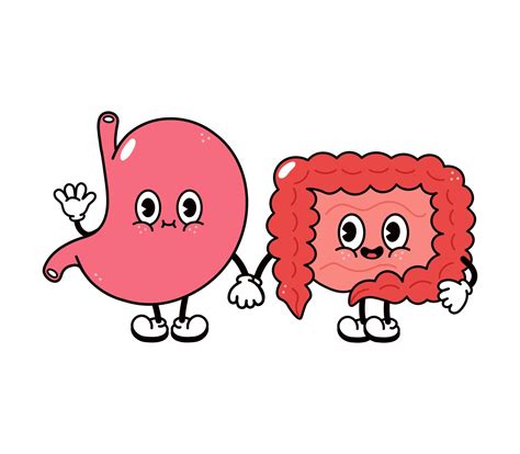 Cute, funny happy stomach and intestines character. Vector hand drawn cartoon kawaii characters ...