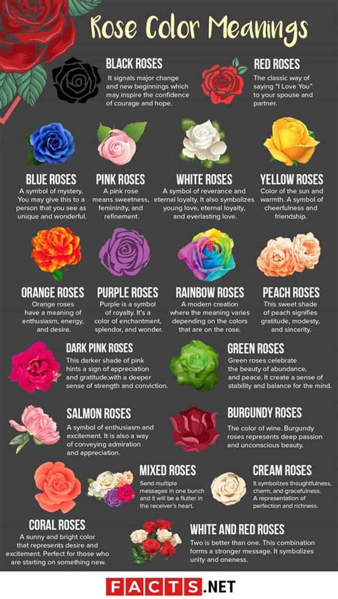 18 Rose Color Meanings That Are Just More Than Romantic - Facts.net