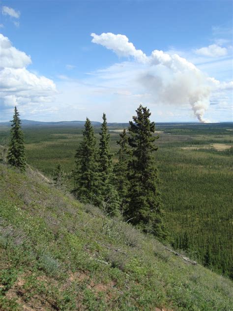 Changing seasonality in the boreal forest – Tree-Ring Research at Middlebury