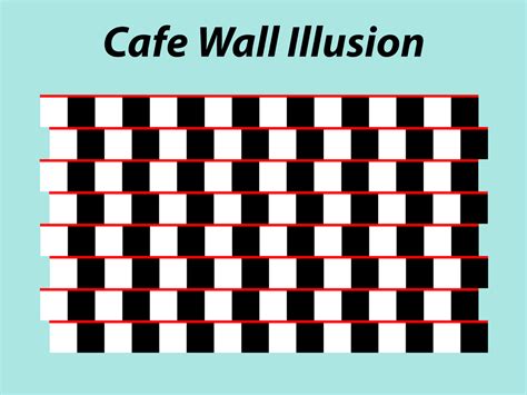 Grating Induction illusion VS Cafe Wall Illusion by H-Flaieh on DeviantArt