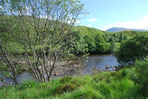 Tyndrum Community woodland (Walkhighlands)