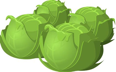 Clipart - Food Cabbage