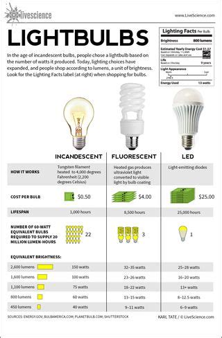 Incandescent Light Bulb Interesting Facts | Shelly Lighting