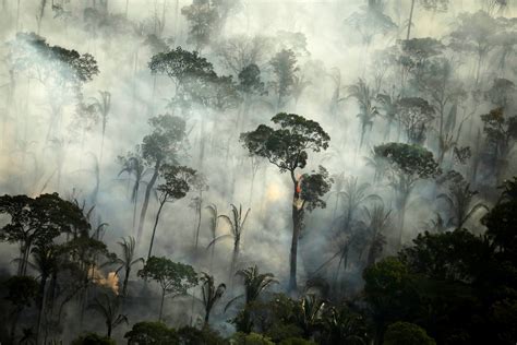 Deforestation in Brazil's Amazon rainforest just hit its highest level in 12 years