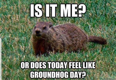 Funny Groundhog Day Memes - Funny Memes