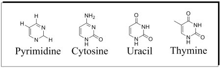 Pyrimidine | Definition, Bases & Structure - Lesson | Study.com