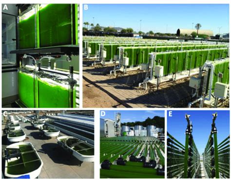 Algae Bioreactor Design