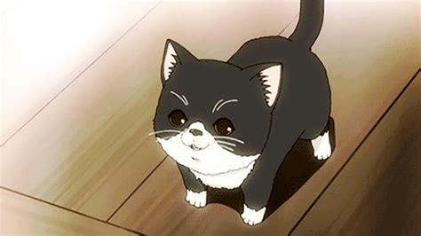 Top 50 Best Anime Cats (Most Popular of All Time)